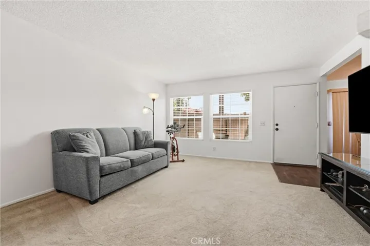 Large Living Room Windows.