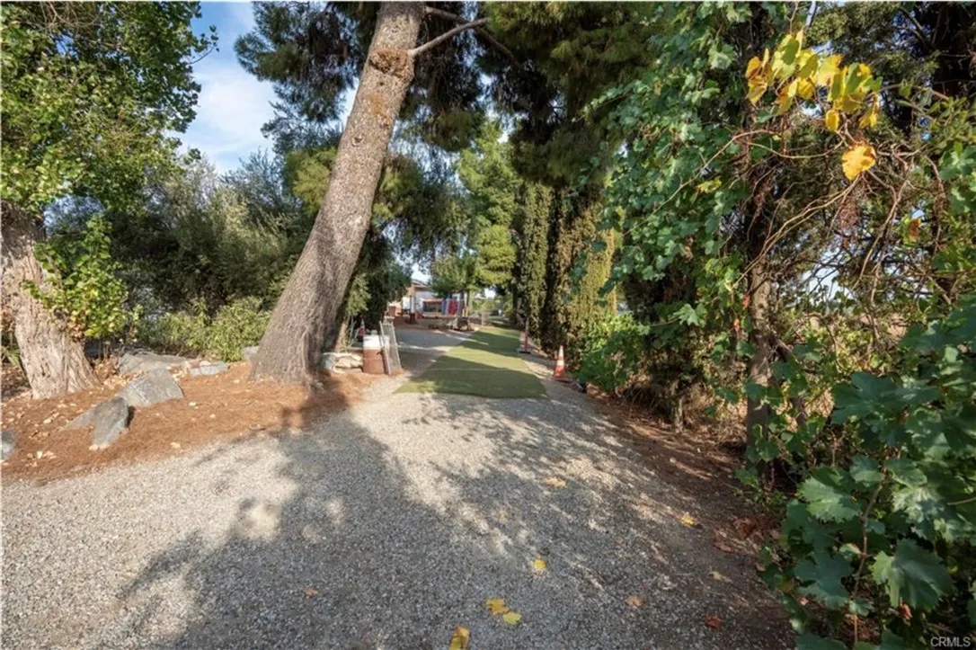 DRIVEWAY TO UNIT