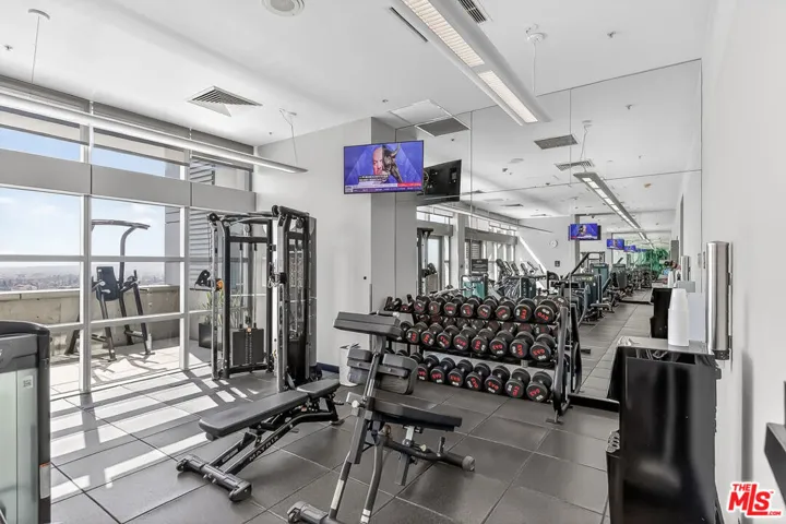 1155 S Grand Avenue 915, Los Angeles, California 90015