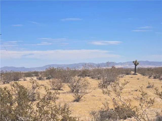 1577 Mcgarry Road, Joshua Tree, California 92252