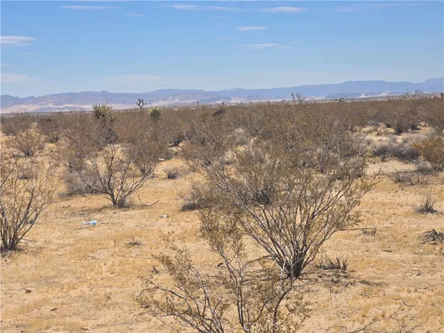 1577 Mcgarry Road, Joshua Tree, California 92252