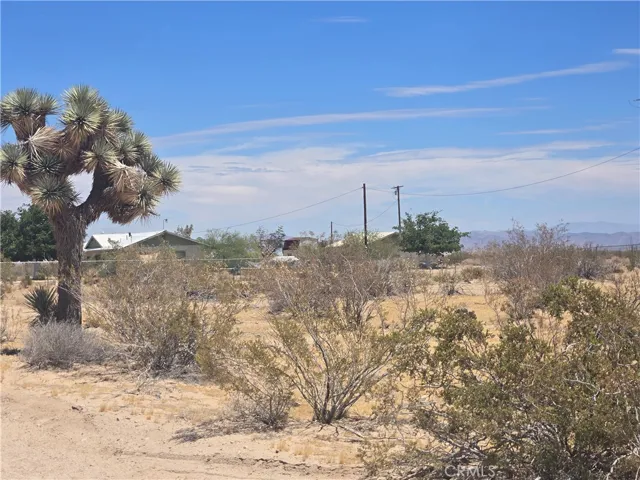 1577 Mcgarry Road, Joshua Tree, California 92252