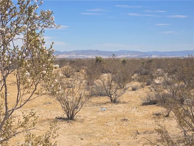 1577 Mcgarry Road, Joshua Tree, California 92252