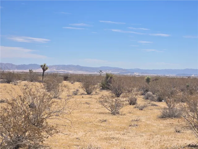 1577 Mcgarry Road, Joshua Tree, California 92252