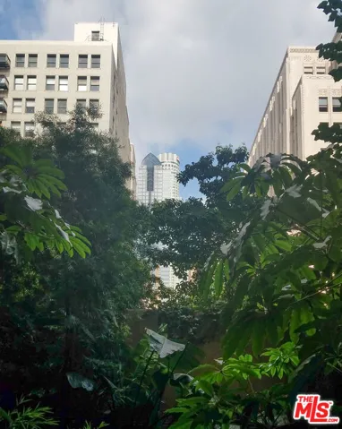 460 S Spring Street 101, Los Angeles, California 90013