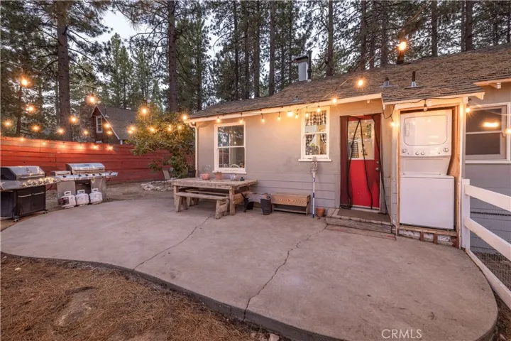 Back yard