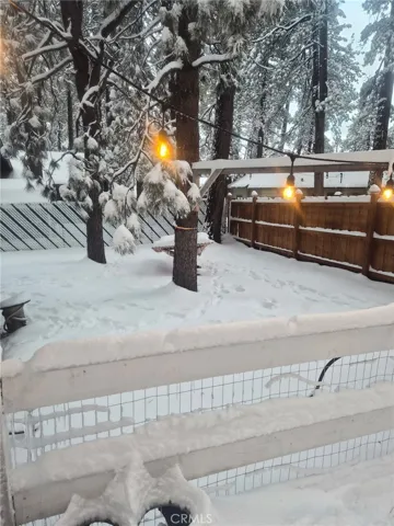 Backyard when it snows
