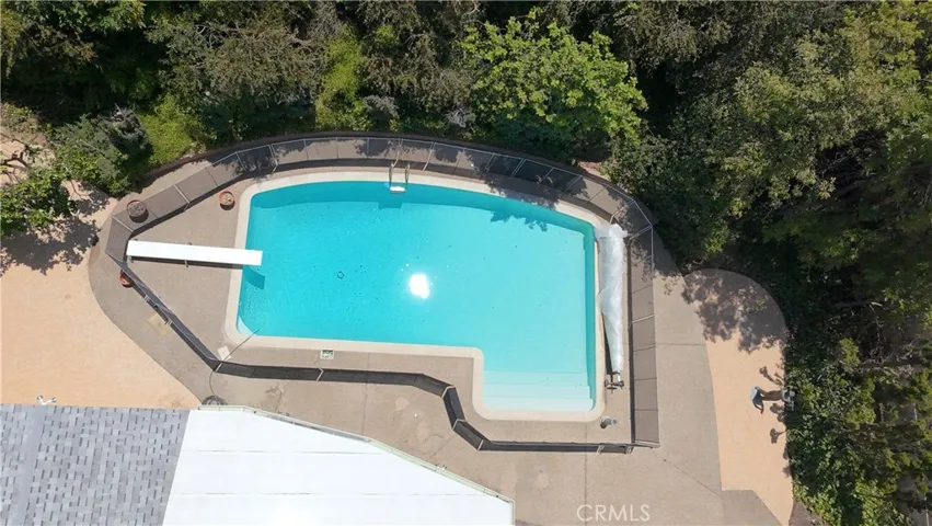 Pool/Yard
