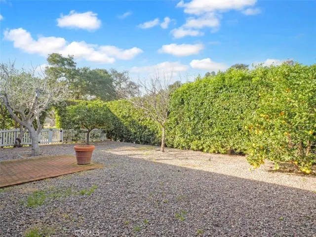 Garden side yard with fruit trees
