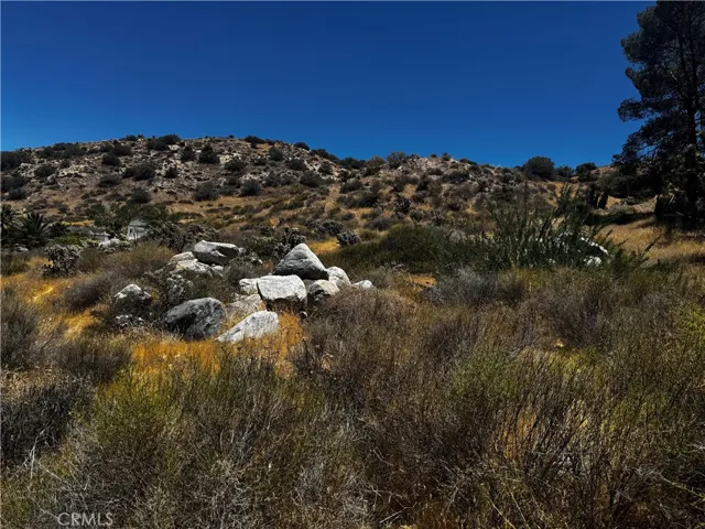 54025 Ridge, Yucca Valley, California 92284