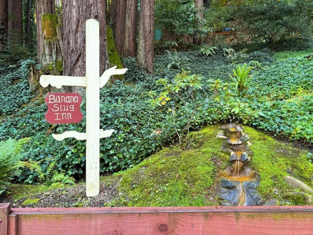 8787 Highway 9, Ben Lomond, California 95005