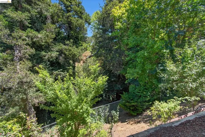 Lush, verdant hillside landscaping featuring diverse mature trees and varied foliage