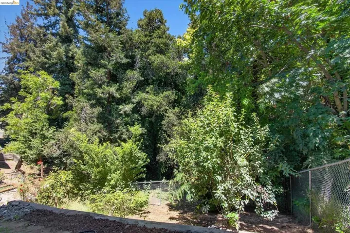 Expansive natural landscape featuring varied mature trees and abundant foliage