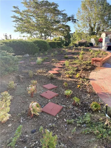 Herb Garden