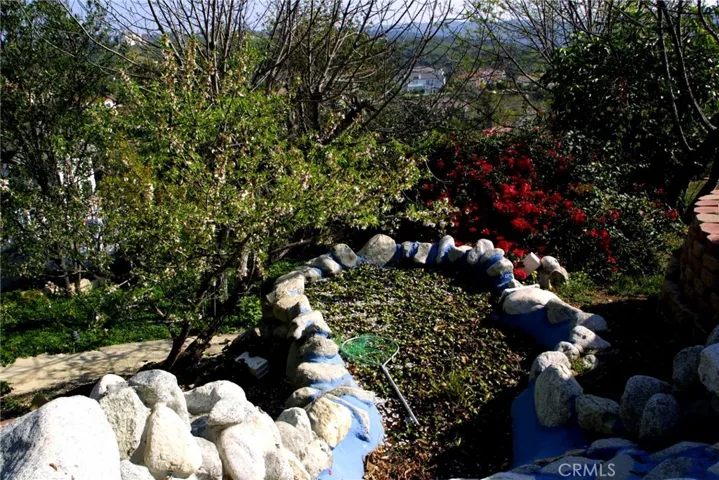 Koi  Pond