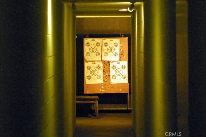 Target Shooting