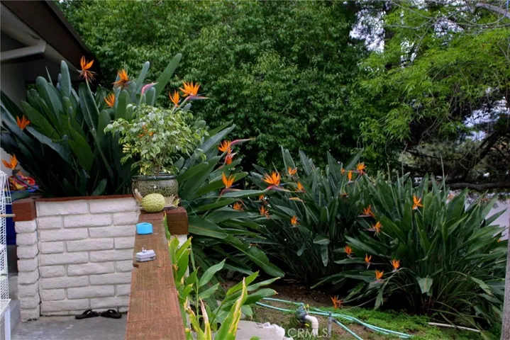 Flower Garden