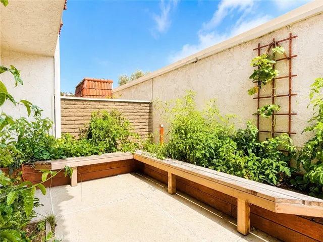 Back Patio