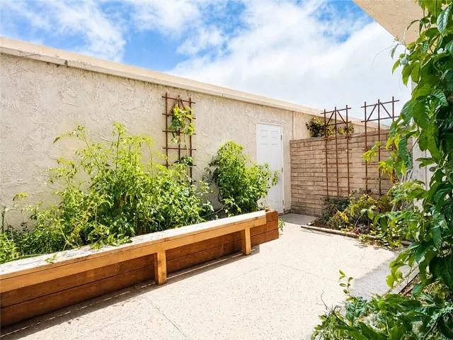 Back Patio