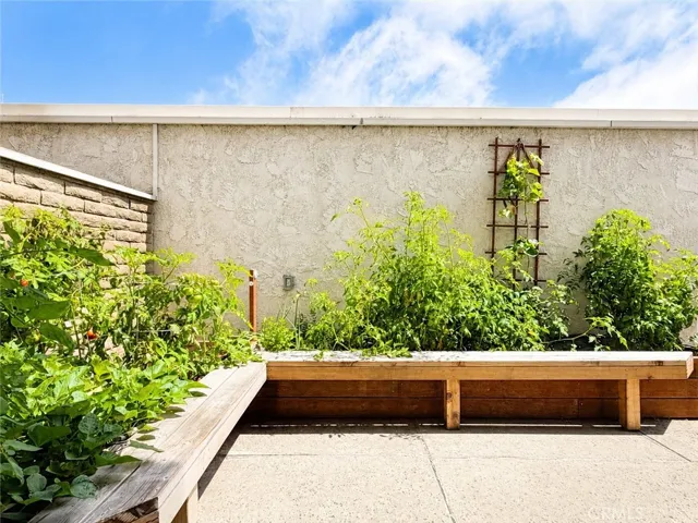 Back Patio