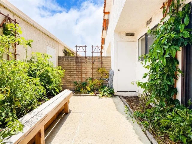 Back Patio