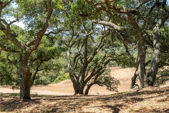 12709 Paso Verde Court, Atascadero, California 93422