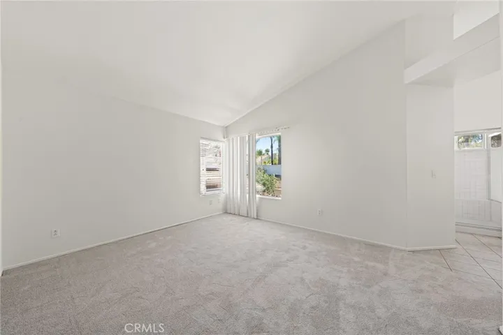 New Carpet!