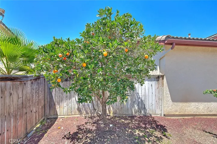 1430 Orange Tree Lane, Upland, California 91786
