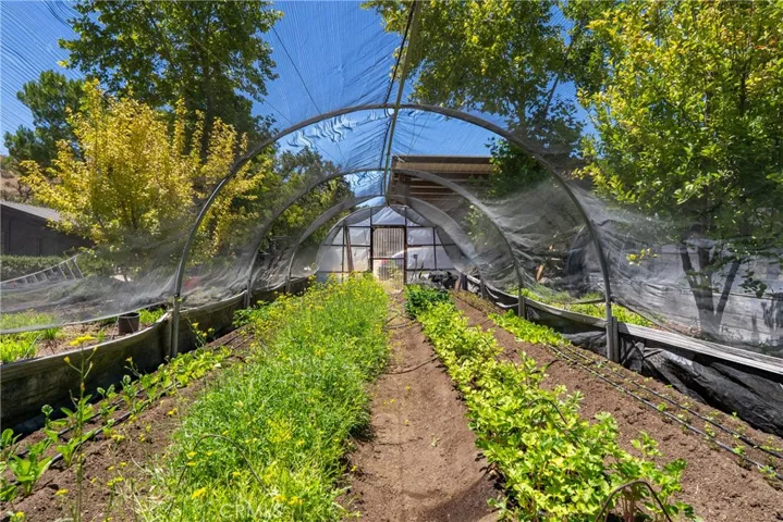5750 El Pharo, Paso Robles, California 93446