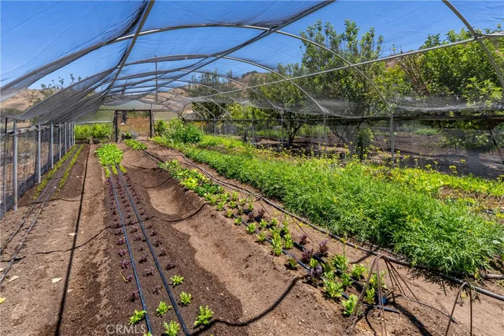 5750 El Pharo, Paso Robles, California 93446