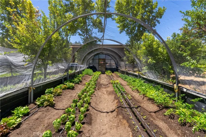 5750 El Pharo, Paso Robles, California 93446