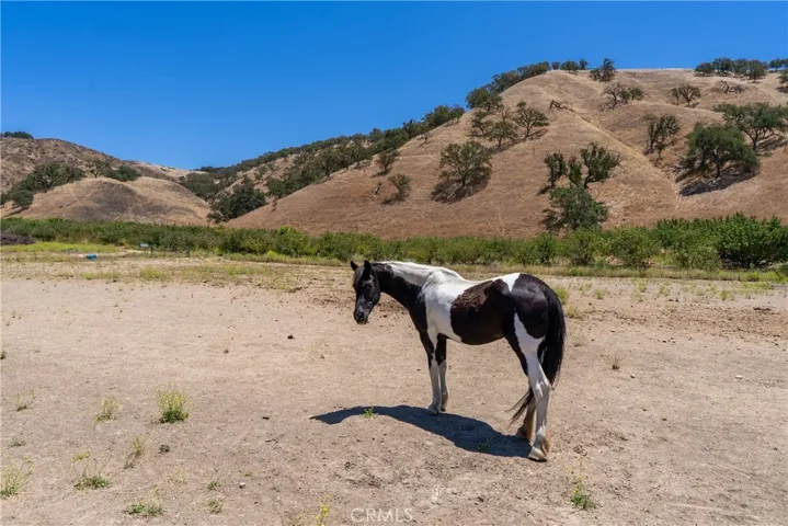 5750 El Pharo, Paso Robles, California 93446