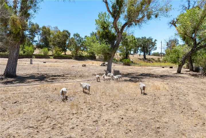 5750 El Pharo, Paso Robles, California 93446