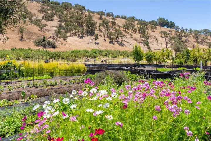 5750 El Pharo, Paso Robles, California 93446