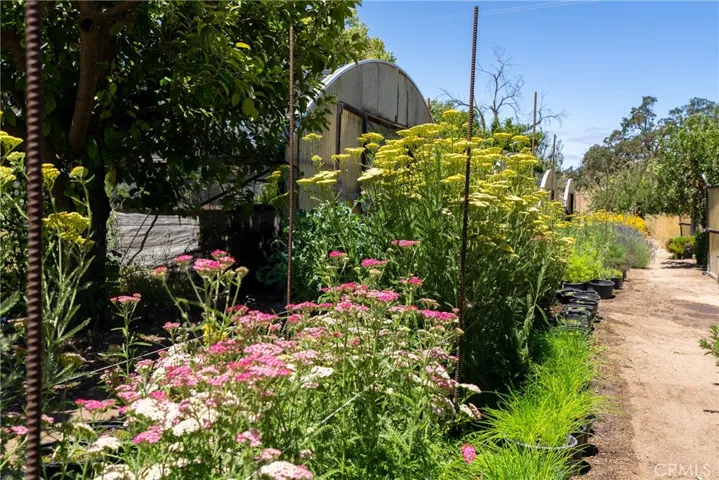 5750 El Pharo, Paso Robles, California 93446