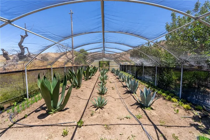 5750 El Pharo, Paso Robles, California 93446