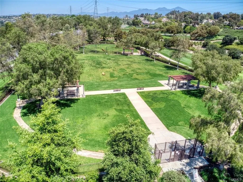 Dog parks