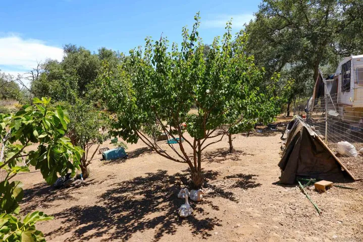 25218 Black Canyon Road, Santa Ysabel, California 92070