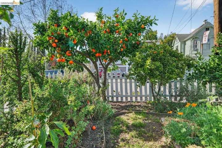 3734 Mcclelland St, Oakland, California 94619