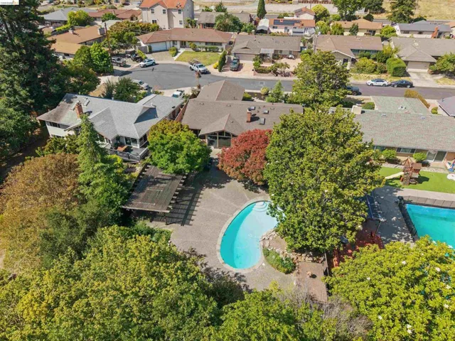 Expansive outdoor area featuring a freeform swimming pool, extensive paving, mature landscaping, and a wooden pergola structure