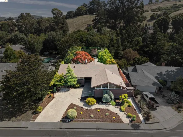 Mid-century modern residence featuring a pitched roof, a concrete driveway, and a front yard with decorative rocks and varied foliage
