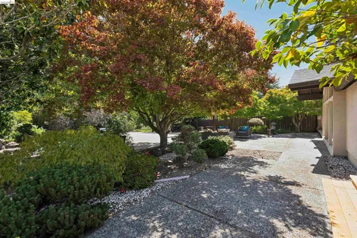 Mature tree with autumnal foliage providing natural shade