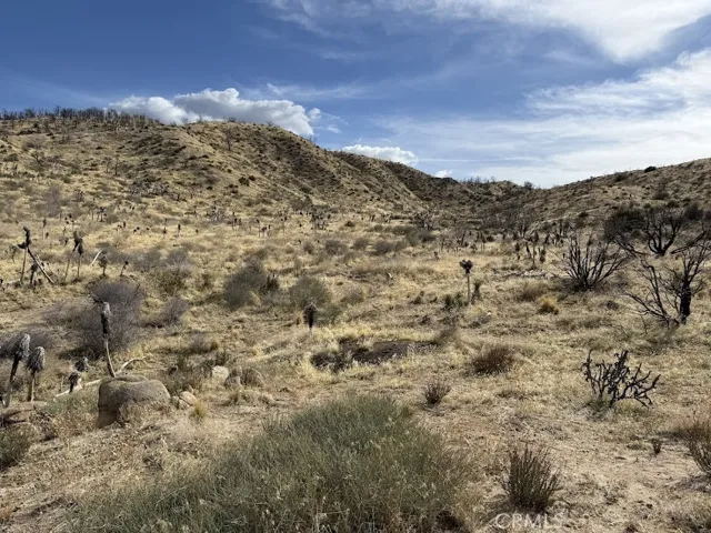 0 200, Llano, California 93544