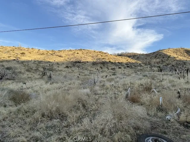 0 200, Llano, California 93544