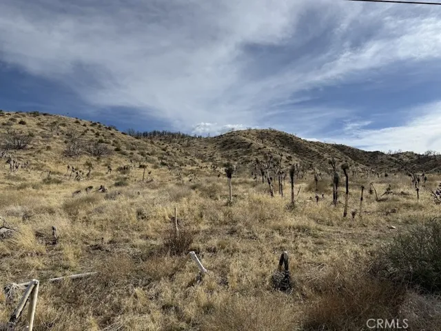 0 200, Llano, California 93544