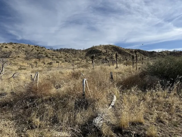 0 200, Llano, California 93544