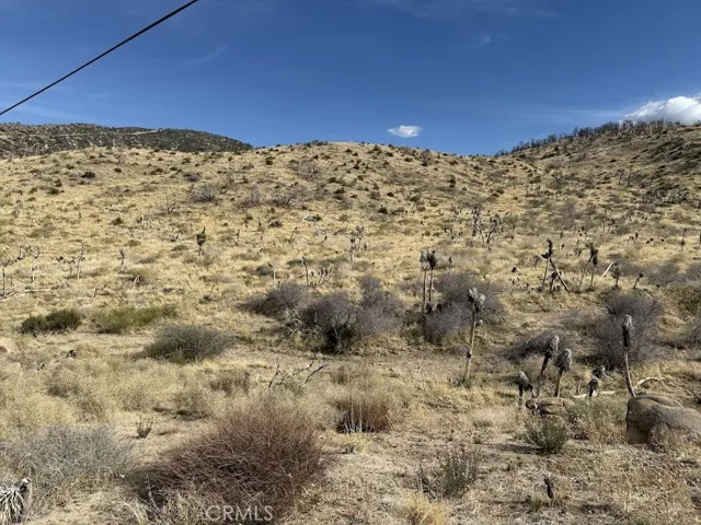 0 200, Llano, California 93544