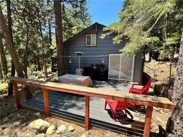 Back Patio