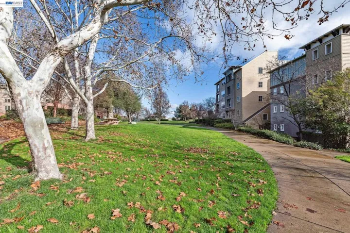 1315 Alma Ave 211, Walnut Creek, California 94596