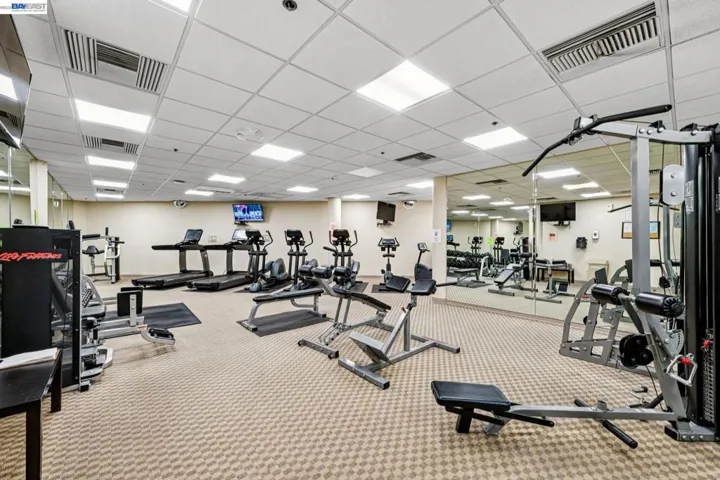 1315 Alma Ave 211, Walnut Creek, California 94596